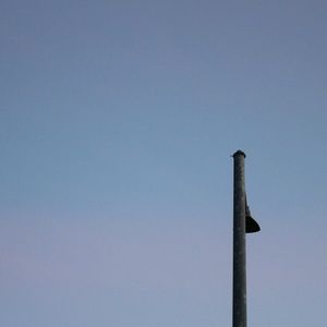 Meet your Posher, Kaylah